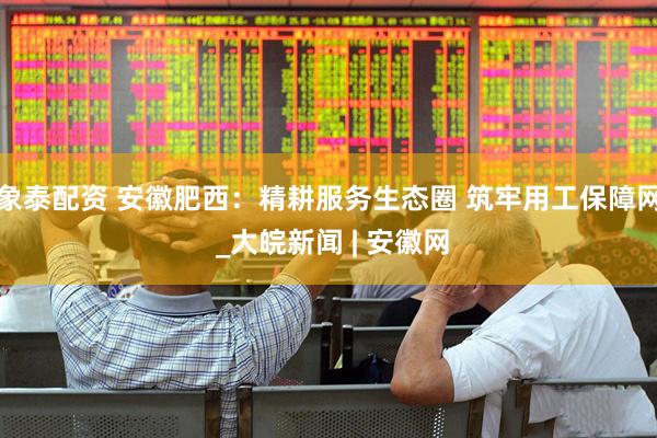 象泰配资 安徽肥西：精耕服务生态圈 筑牢用工保障网 _大皖新闻 | 安徽网