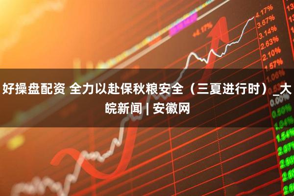 好操盘配资 全力以赴保秋粮安全（三夏进行时）_大皖新闻 | 安徽网
