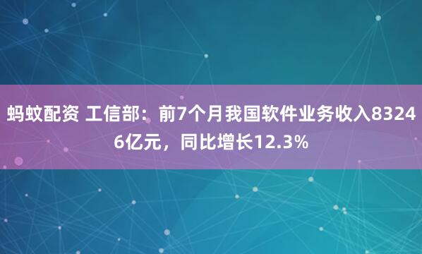 蚂蚊配资 工信部：前7个月我国软件业务收入83246亿元，同比增长12.3%